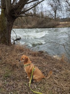 2026_März_Wanderungen-1