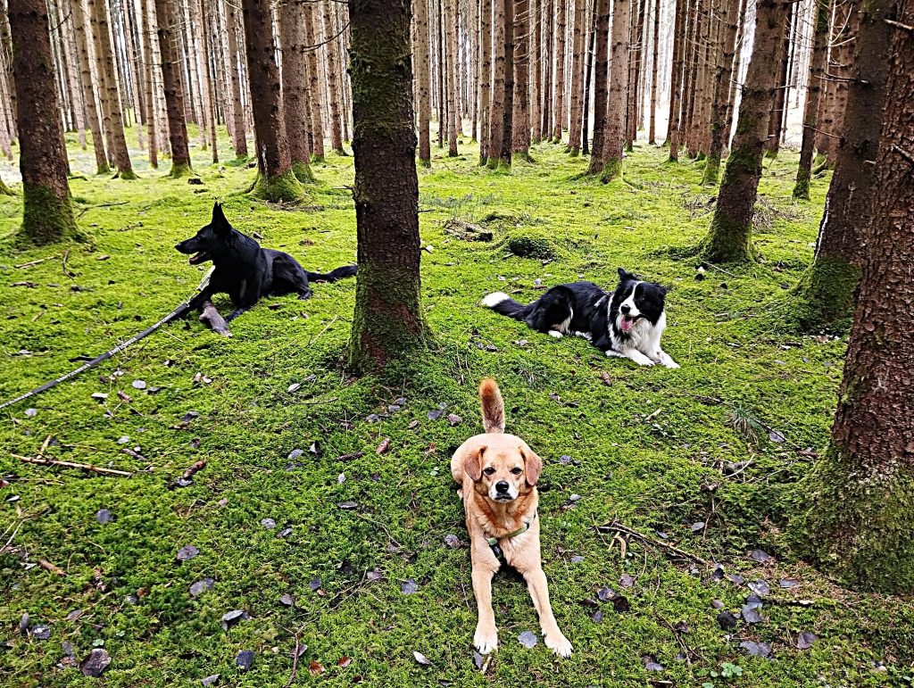 2026_März_Wanderungen-11