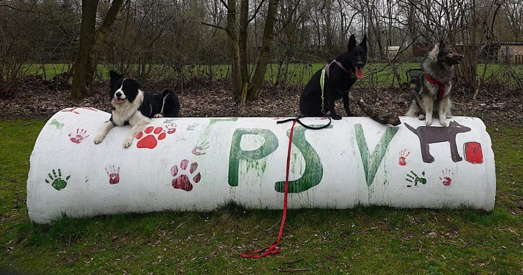 2026_März_Wanderungen-14