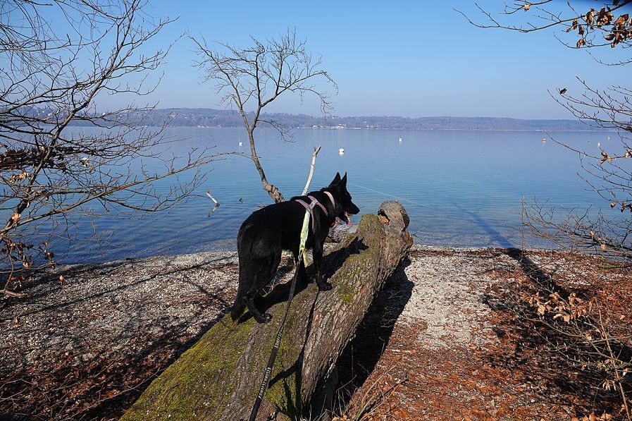 2026_März_Wanderungen-15