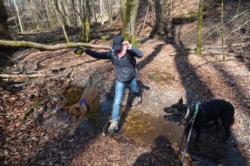 2026_März_Wanderungen-16