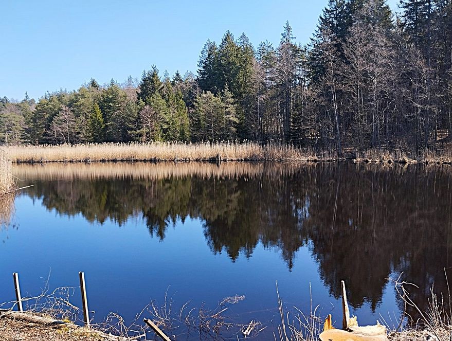 2026_März_Wanderungen-17