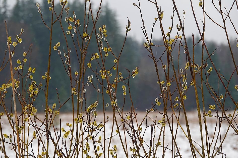 2026_März_Wanderungen-18