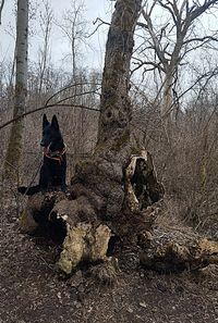 2026_März_Wanderungen-2