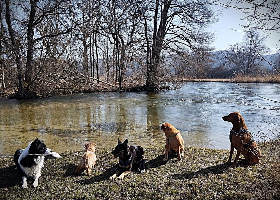 2026_März_Wanderungen-3