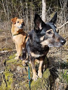 2026_März_Wanderungen-4