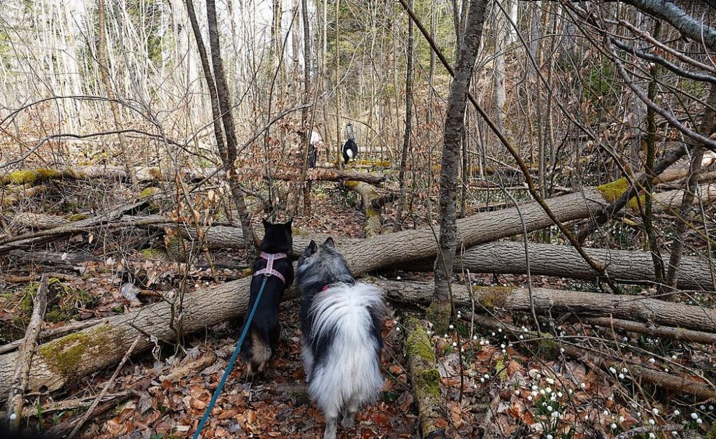 2026_März_Wanderungen-5