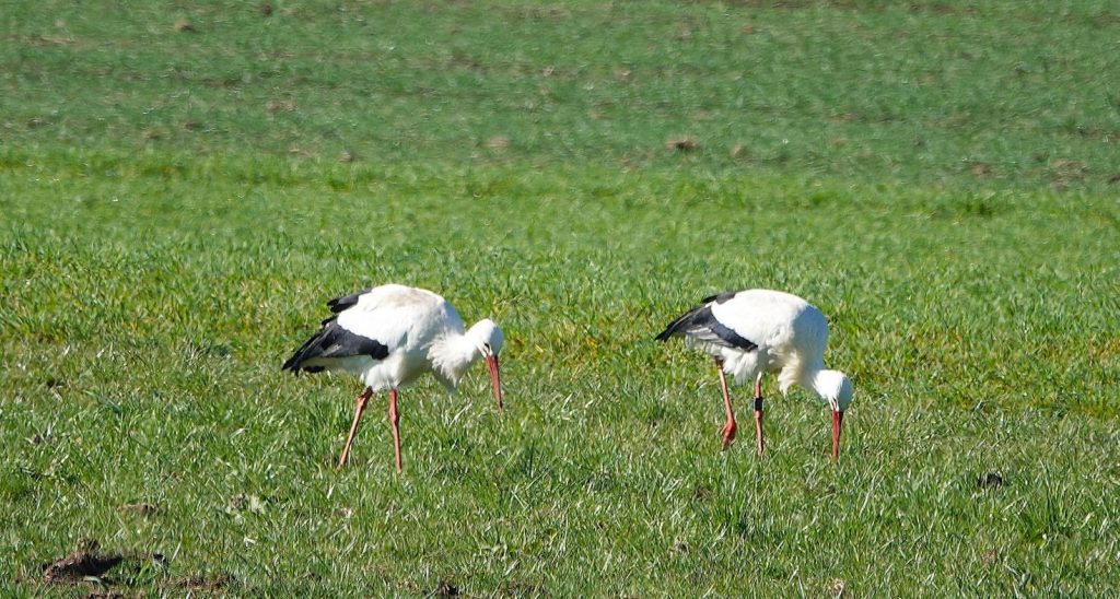 2026_März_Wanderungen-6