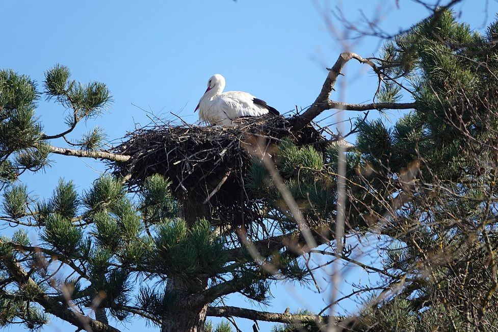 2026_März_Wanderungen-7