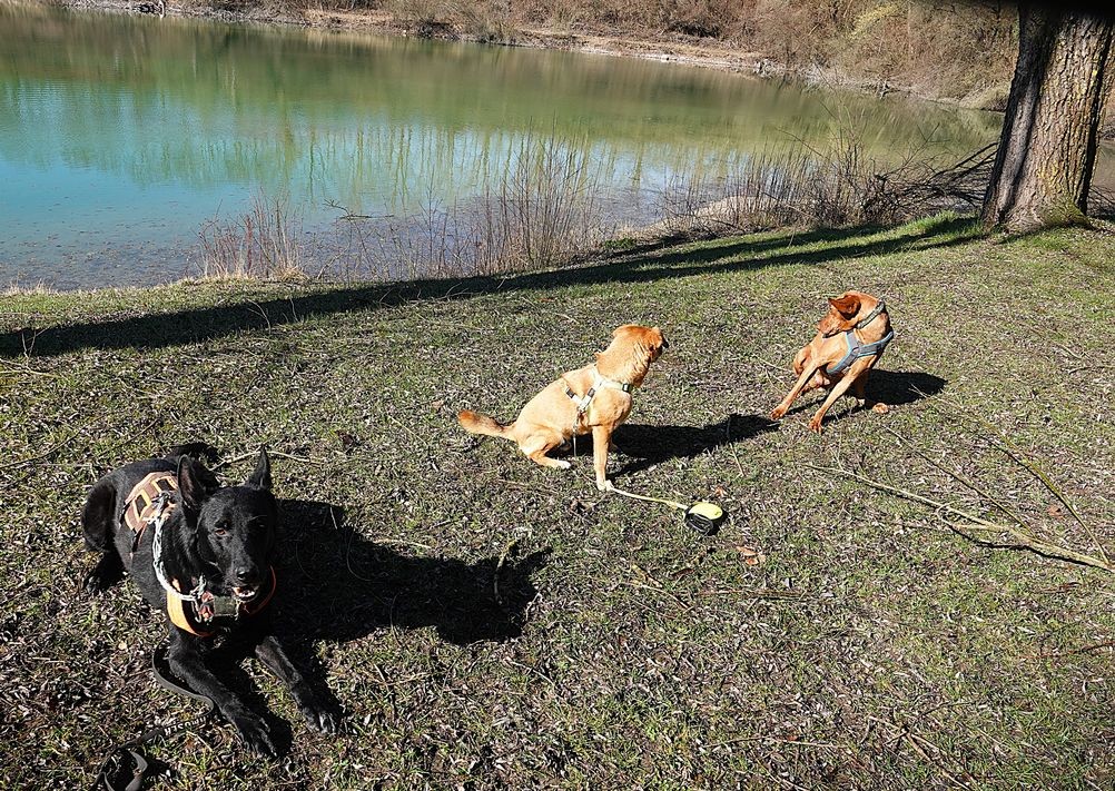 2026_März_Wanderungen-8