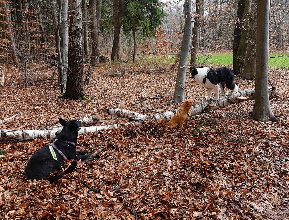 2026_März_Wanderungen-9